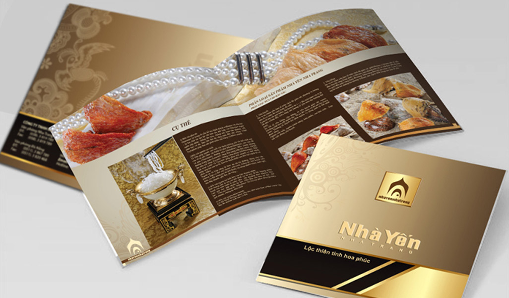 catalogue 1 1